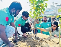 আবর্জনার ভাগাড় এখন ফুলের বাগান  