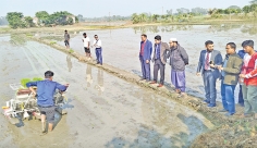 সমলয় পদ্ধতিতে বোরো আবাদে খরচ কম  