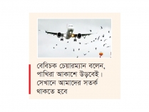 আকাশপথে পাখির ভয়  