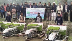 ফুলবাড়ীতে শীতকে উপেক্ষা করে সমলয়ে বোরো চাষাবাদের নতুন যাত্রা