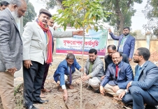 পাবনায় শিক্ষাপ্রতিষ্ঠানে বৃক্ষরোপণ  