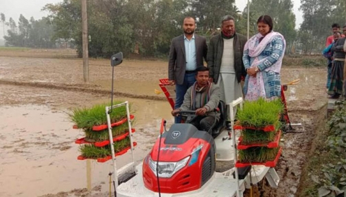 ঝিনাইগাতীতে সমলয় পদ্ধতিতে বোরো ধানের চারা রোপণের উদ্বোধন