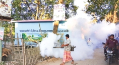 ডেঙ্গু নিয়ন্ত্রণ কাজে ব্যস্ত মশক নিধন কর্মীরা  