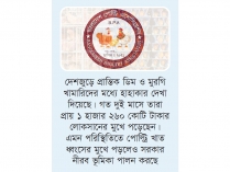 মে থেকে ডিম-মুরগির খামার বন্ধের ঘোষণা  