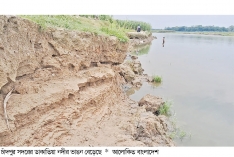 বিলীনের মুখে বসতবাড়িসহ ফসলি জমি  